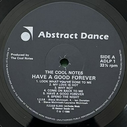 COOL NOTES / HAVE A GOOD FOREVER – VINYL CHAMBER
