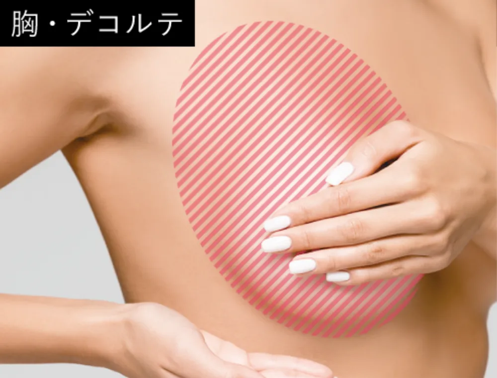 ビクトリアライン ヴィクトリアバスト＆ヒップクリーム ｜ VICTORIA