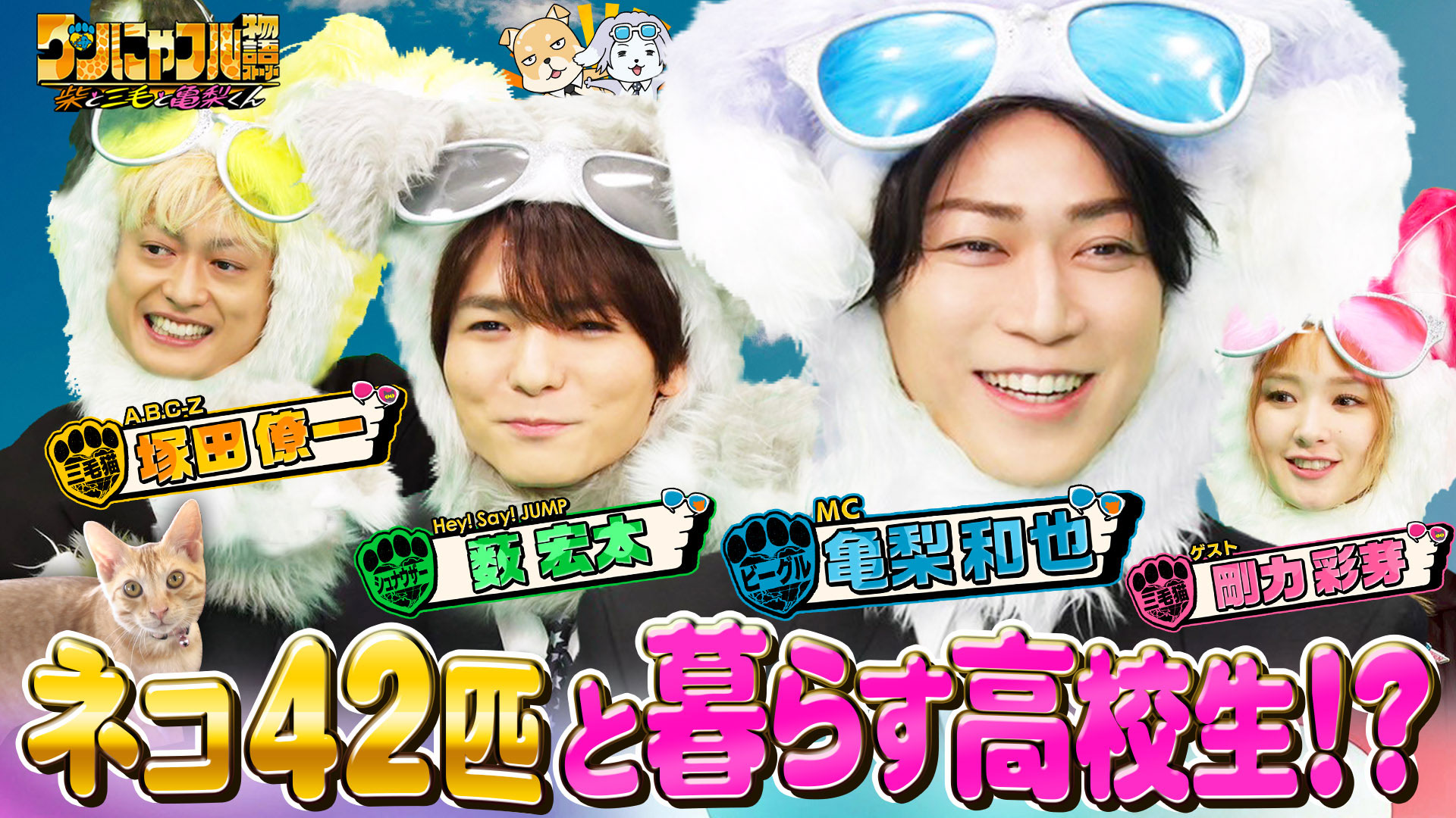 ワンにゃフル物語【麻薬探知！天才警察犬K9＆16キロ爆走し命を救っ
