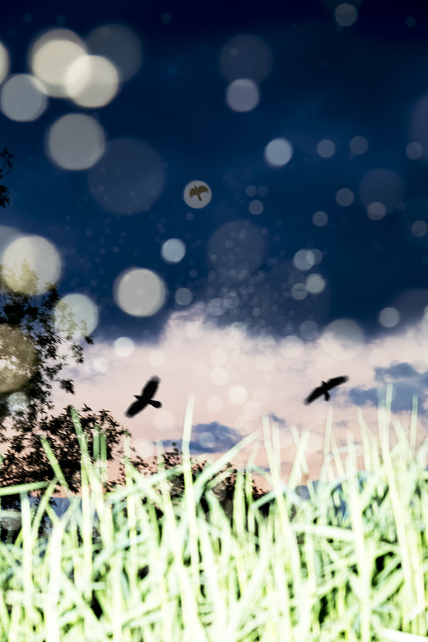 若き写真家が見る歪んだ世界 vol.3 水谷吉法