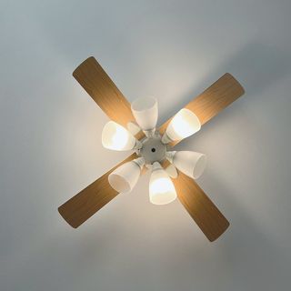 LEDシーリングファンライト（6灯：ホワイト+ナチュラル/ブラック+