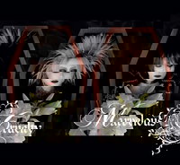 Kaikoroku III - Marvelous Cruelty | vkgy (ブイケージ)