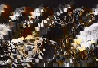 Dali profile | Daliプロフィール | vkgy (ブイケージ)