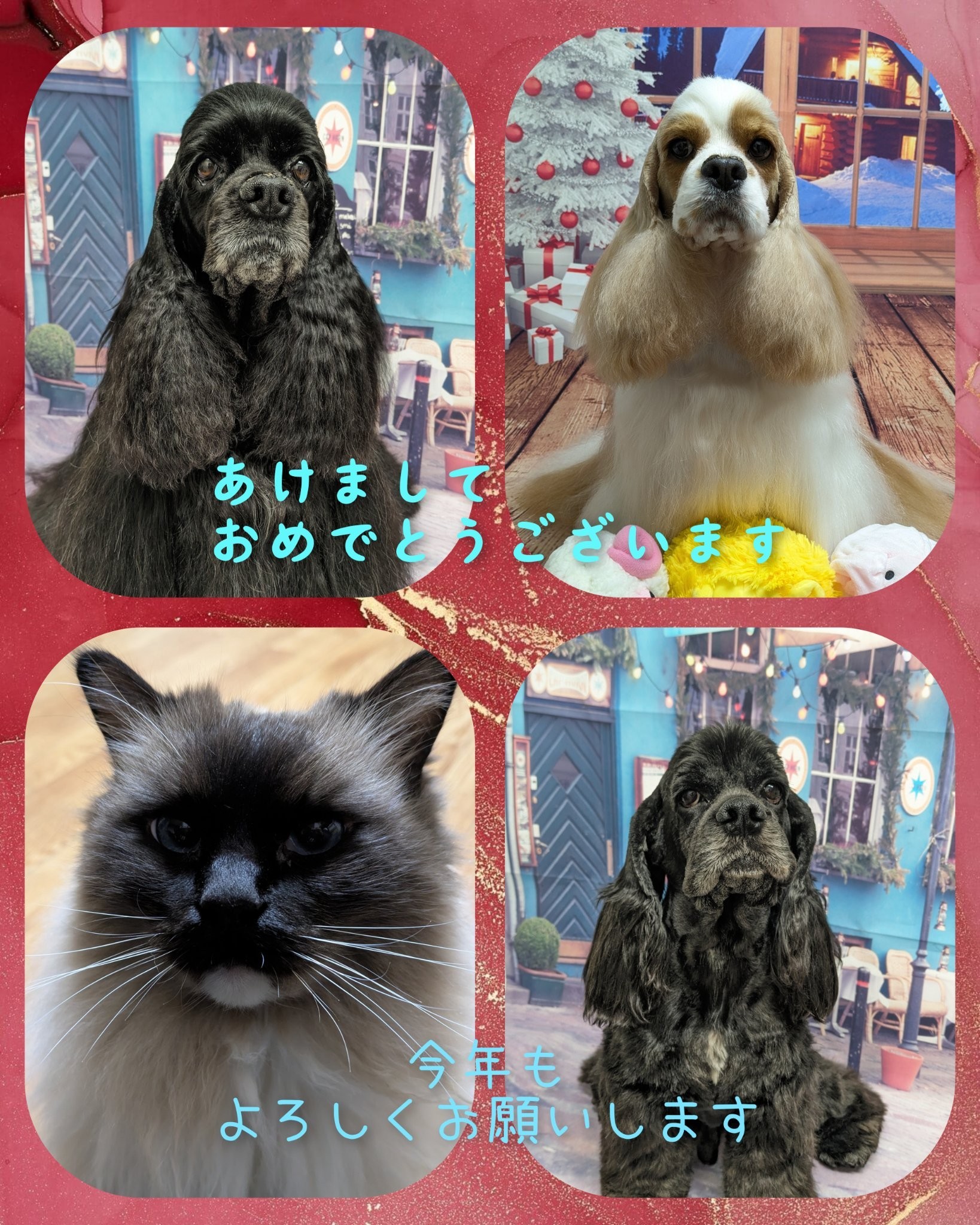 DogSalon Kanaoa | LINE Official Account