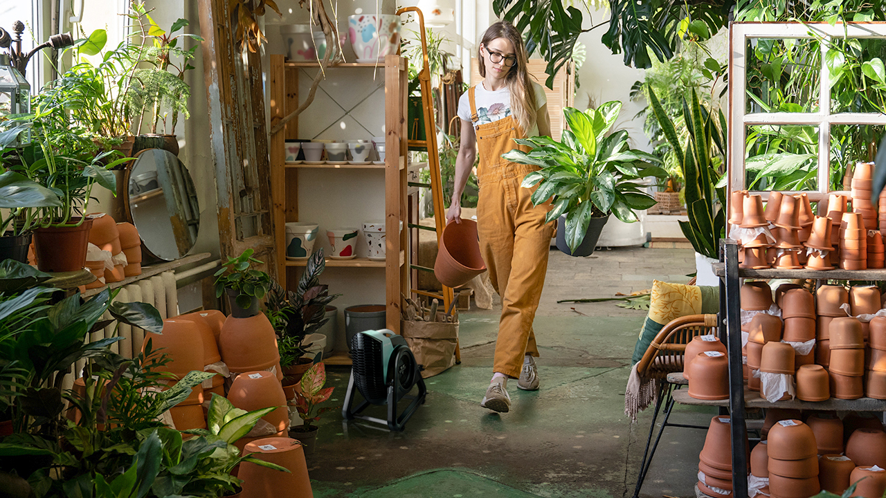 RTRHD-JP - VORNADO - ボルネード公式サイト