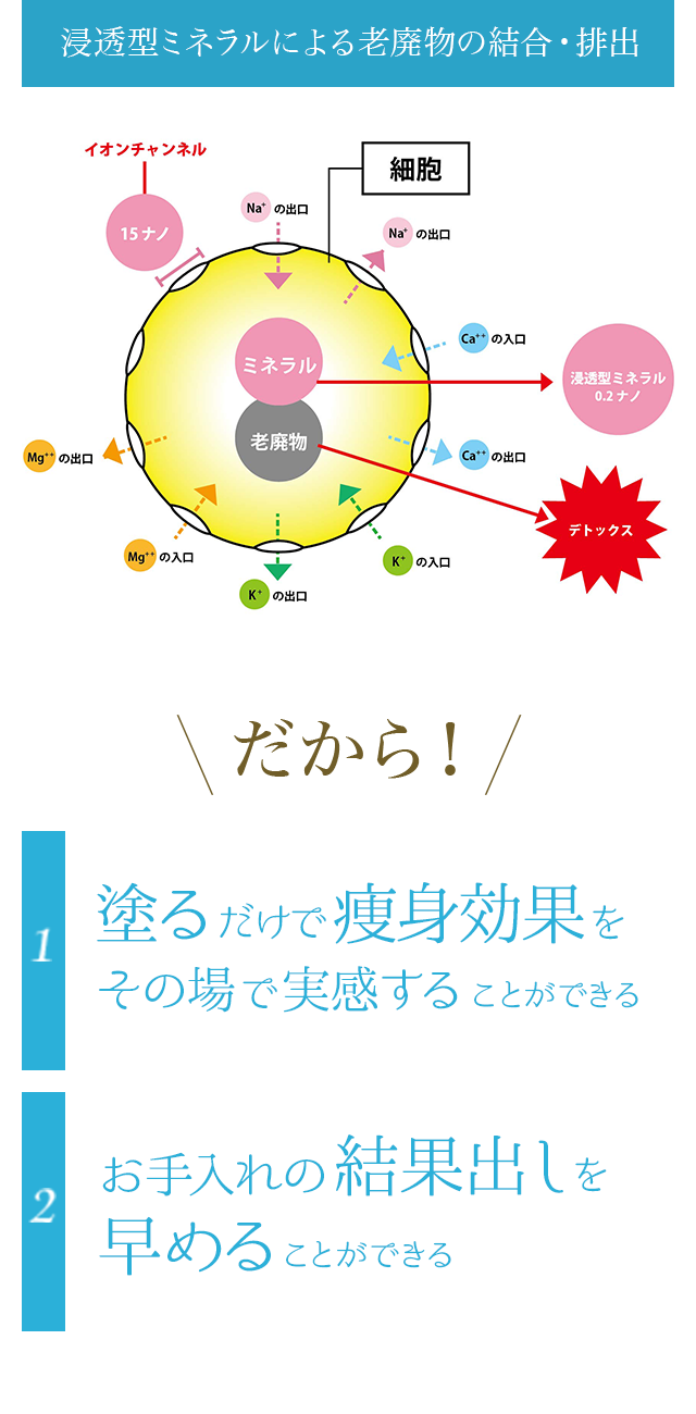 株式会社ワムのハイパーノンエフクリーム