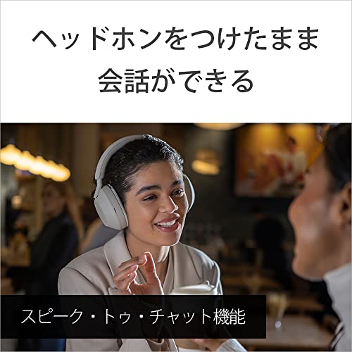 SONY WH-1000XM5 SM Platinum Silver Wireless Headphones – WAFUU JAPAN