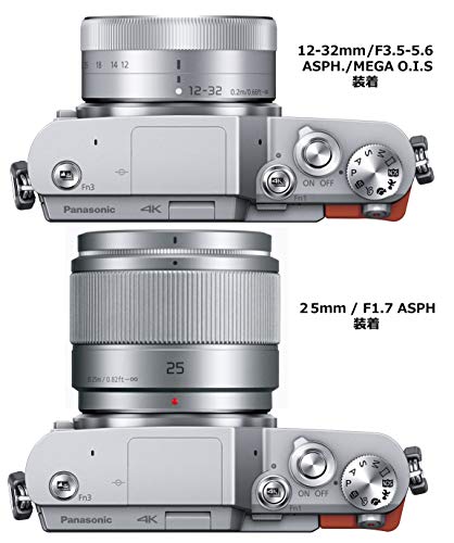 Panasonic MirrorLess Digital Camera LUMIX GF9 Double Zoom Lens Kit