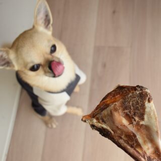 Iittala book】140周年を記念して登場したイッタラの本 400ページに500