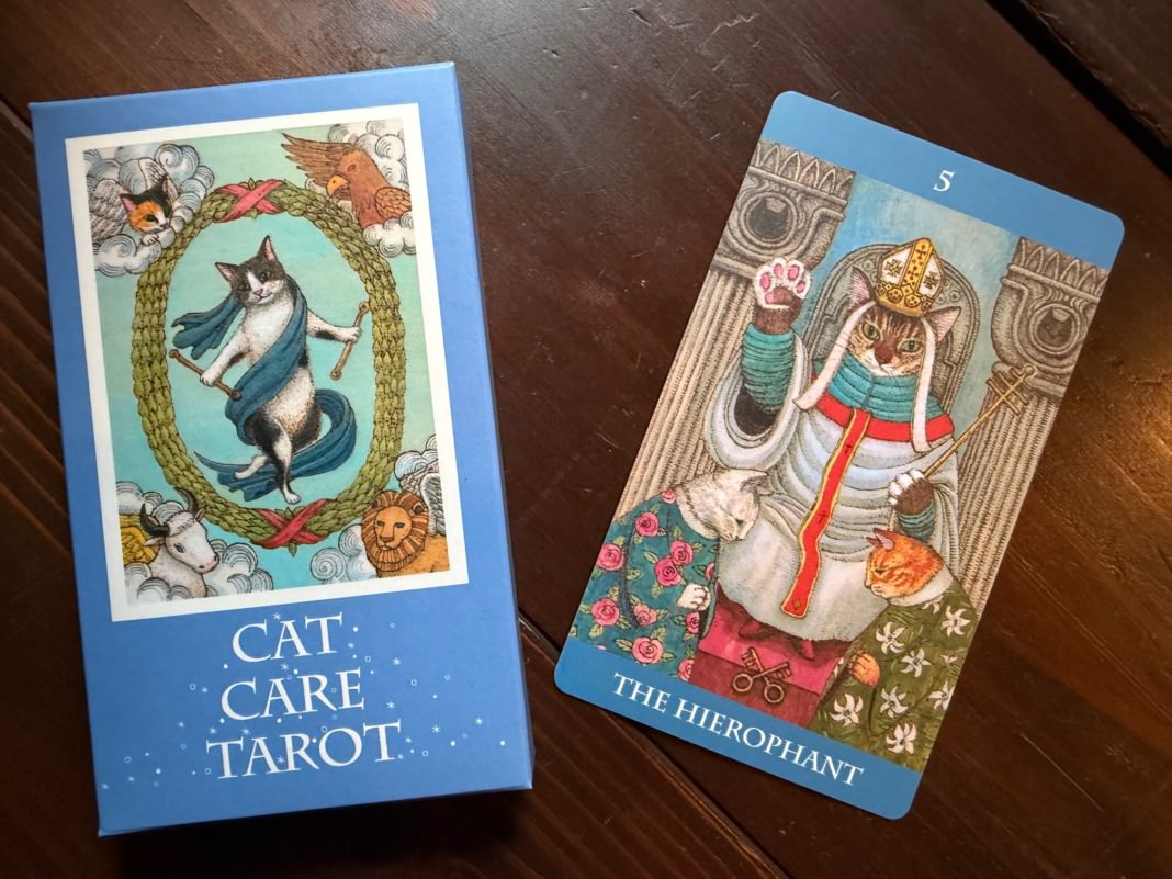 猫タロットカードが入荷しました→いったん完売しました | 猫本専門
