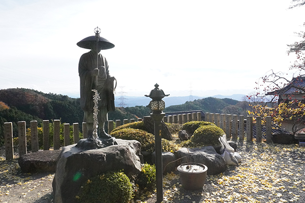 かつらぎ町・「堀越癪観音」（堀越観音）天然記念物の山茶花の老樹を見