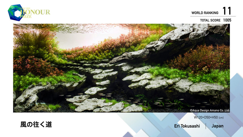 ADA 2022年度 IAPLC 世界水草レイアウトコンテスト】作品メイキング