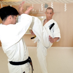 柳生新陰流 第3巻 | DVD | 武道・武術の総合情報サイト WEB秘伝