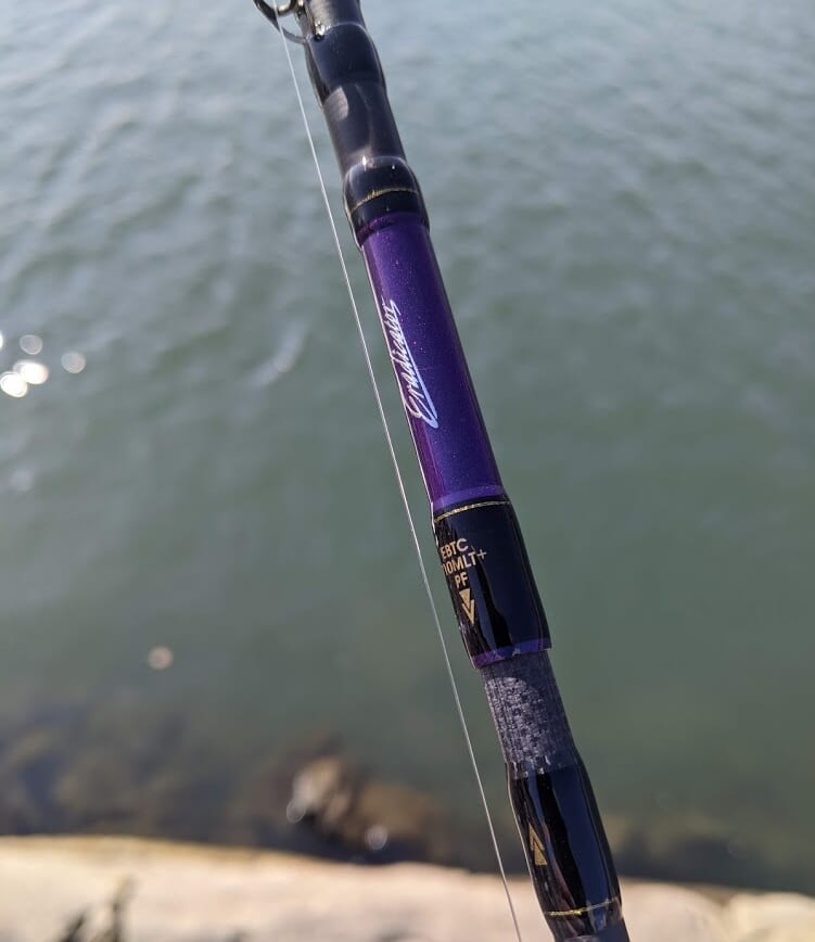 なんとなく追加で買ってしまったパワーフィネスロッド「アブガルシア