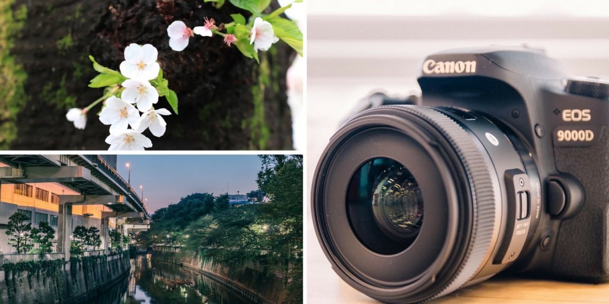 Canon EOS 9000Dのココが良い！連写性能なども含めて実写レビュー