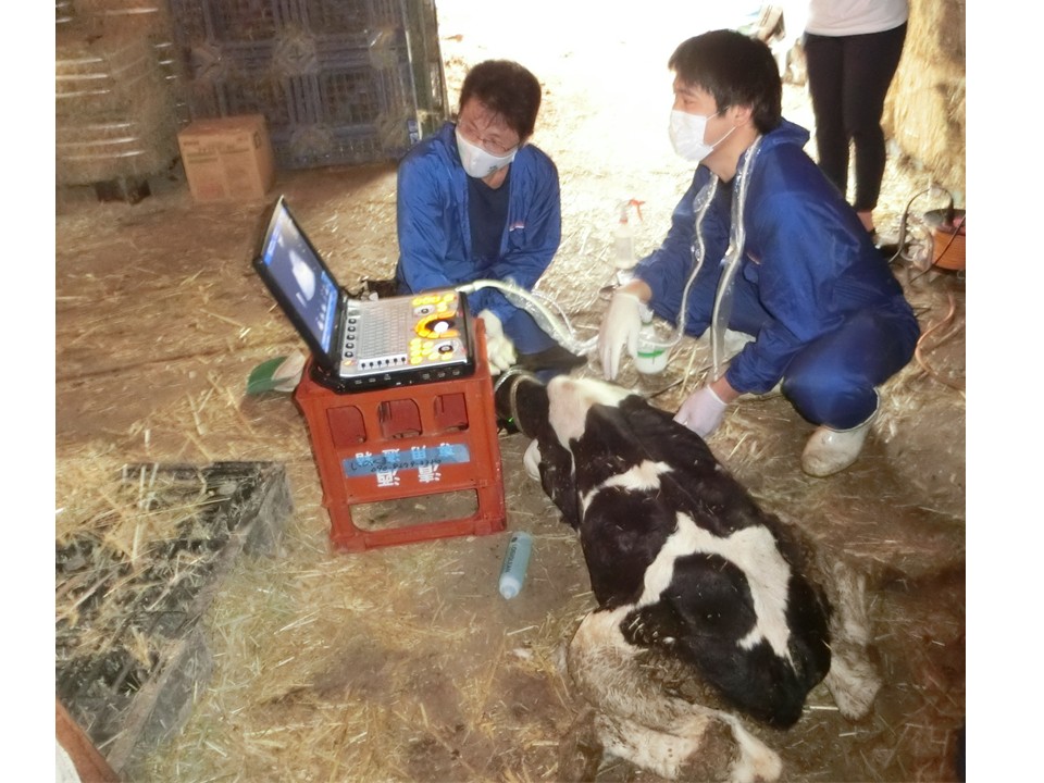 研究内容 | 東京大学大学院農学生命科学研究科動物医療センター 獣医