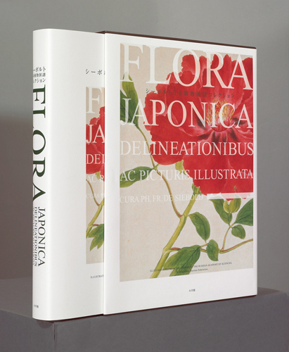 シーボルト日本植物図譜コレクション DVD付 – WePhoto