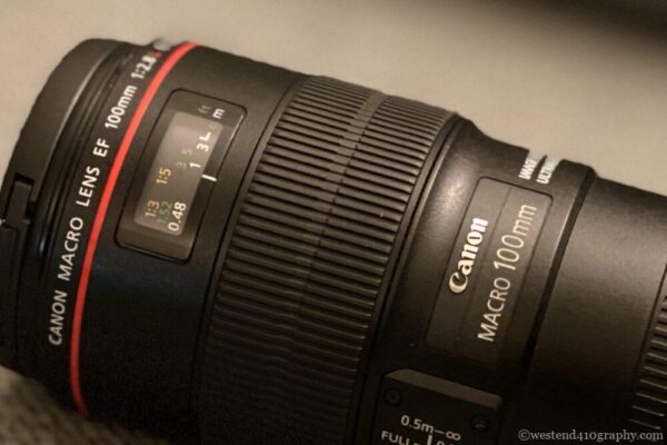 Canonおすすめのマクロレンズ8選と選び方！