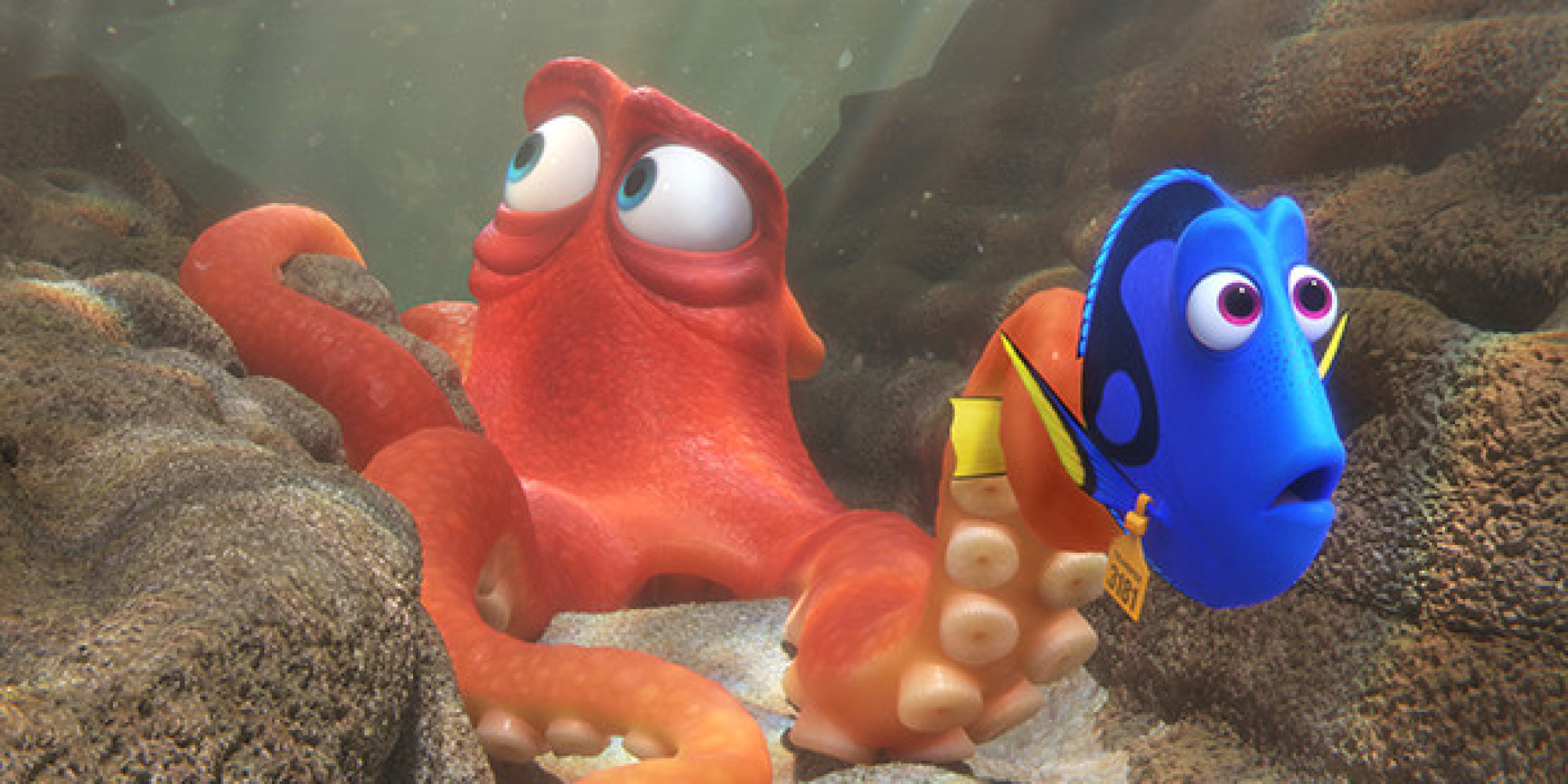 Finding Dory Review – Wizard Dojo