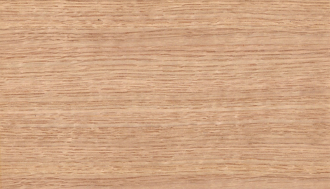 3104 ミズナラ 水楢 天然木 切り株 丸太 輪切り 高さ約28㎝ ミズナラ