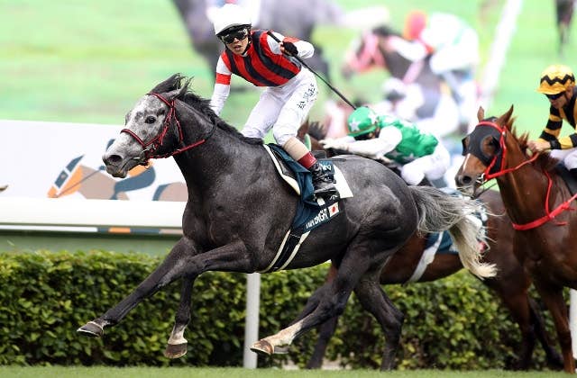 香港QE2C】ウインブライトがレコードで悲願のG1初制覇！ 香港で父