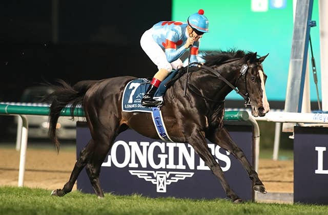 ドバイシーマクラシック】イクイノックスがノーステッキで圧巻の