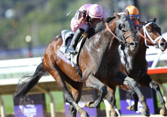 サンデーサイレンス（Sunday Silence） | 競馬データベース | JRA-VAN