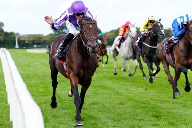 クールモアが来年度の種付け料を発表！愛チャンピオンS覇者ドラクロワ