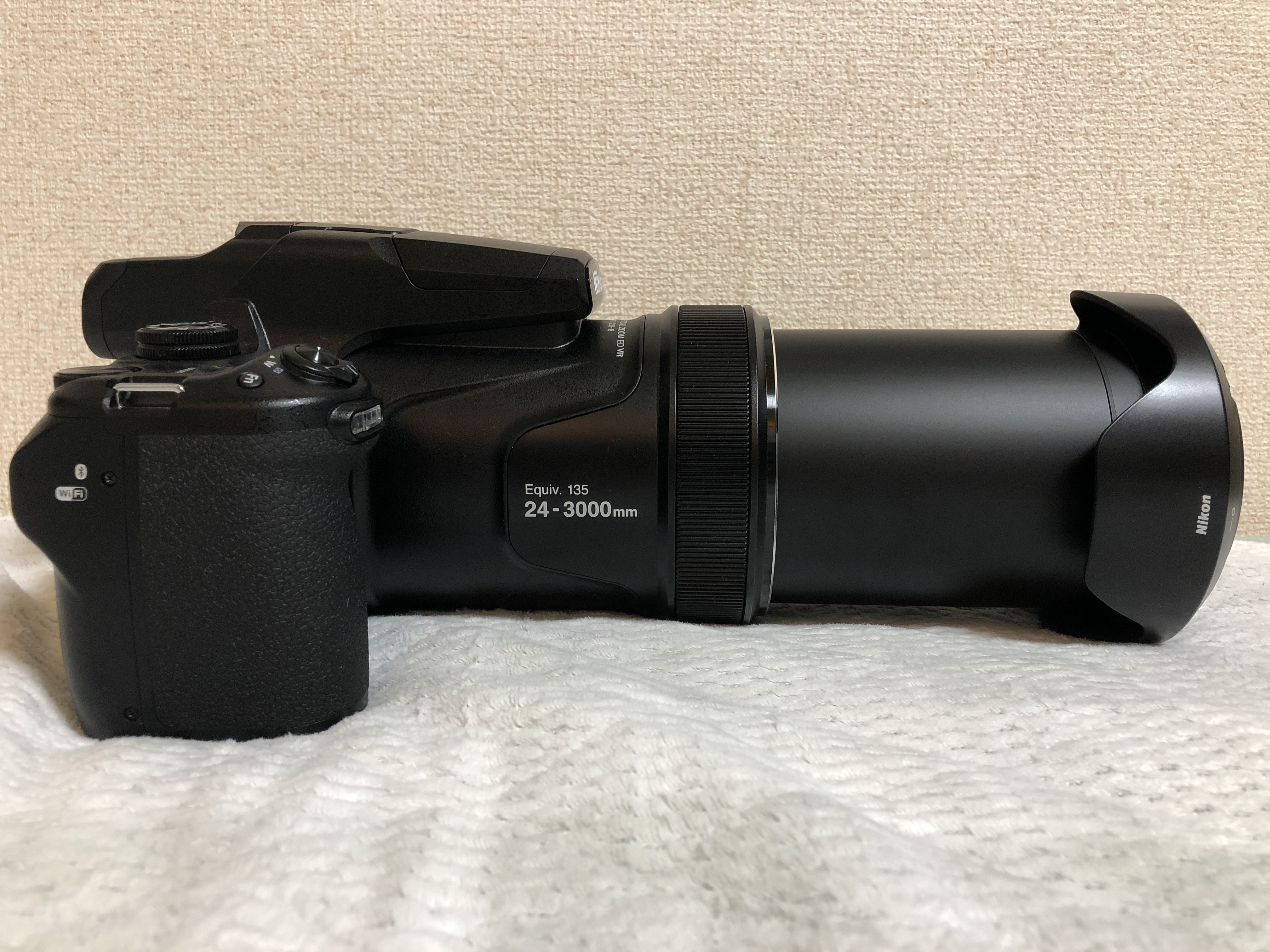 Nikon P1000でカメラデビューした初心者が野鳥撮影に挑戦してみました