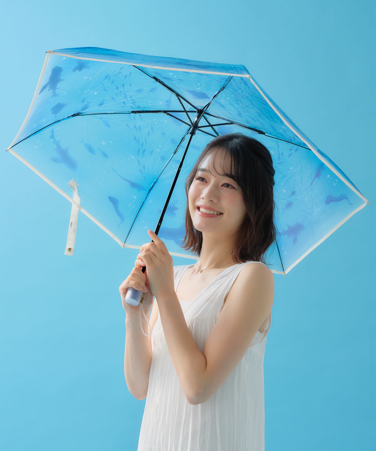 えのすい× Wpc. アンブレラ おはよう、大水槽 おやすみ 、くらげ 新