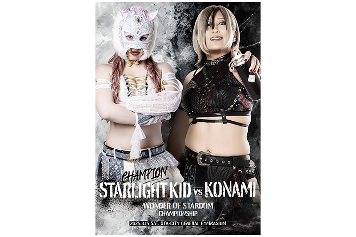 STARDOM スターライトキッド ポトレ9枚セット STARDOM スターライト