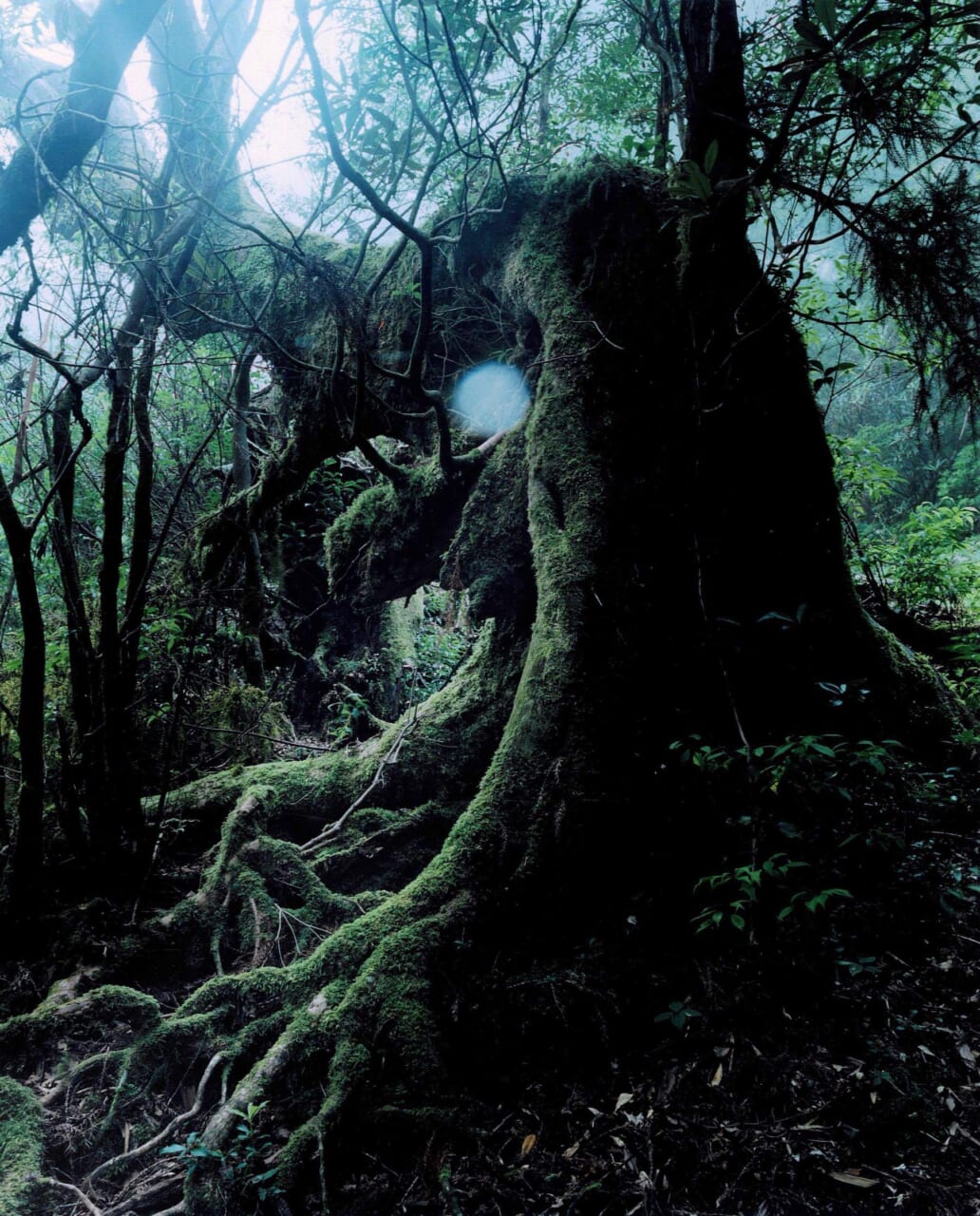 第6回 見えるものだけが現実じゃない。 | 特集 写真家が向き合って