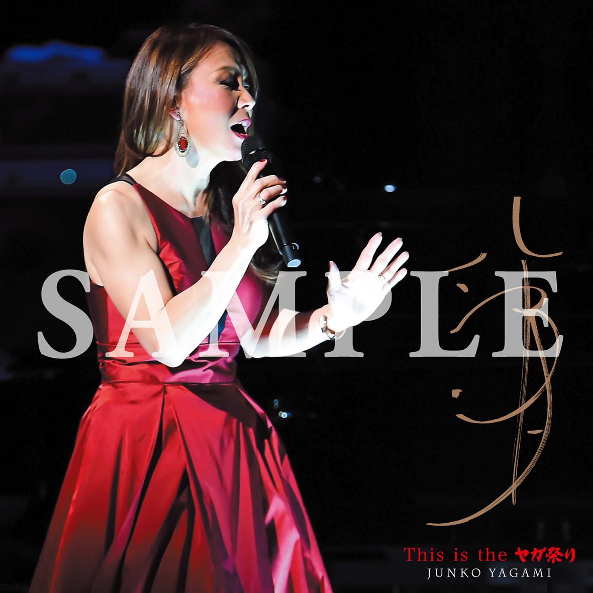 八神純子 This is the ヤガ祭り