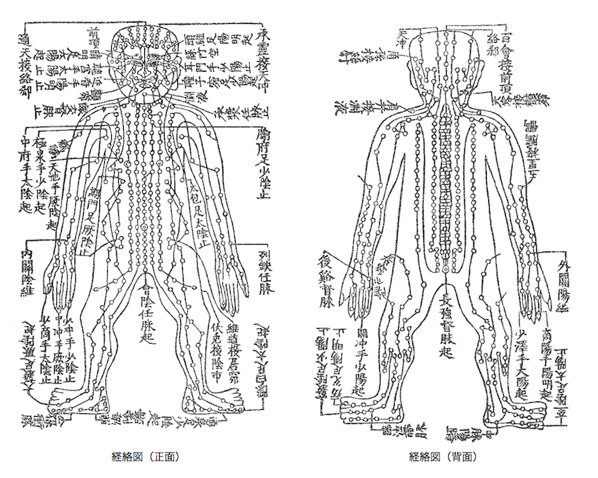 東洋医学の基礎】経絡（けいらく）・経穴（ツボ）とは？ | 鍼灸治療家