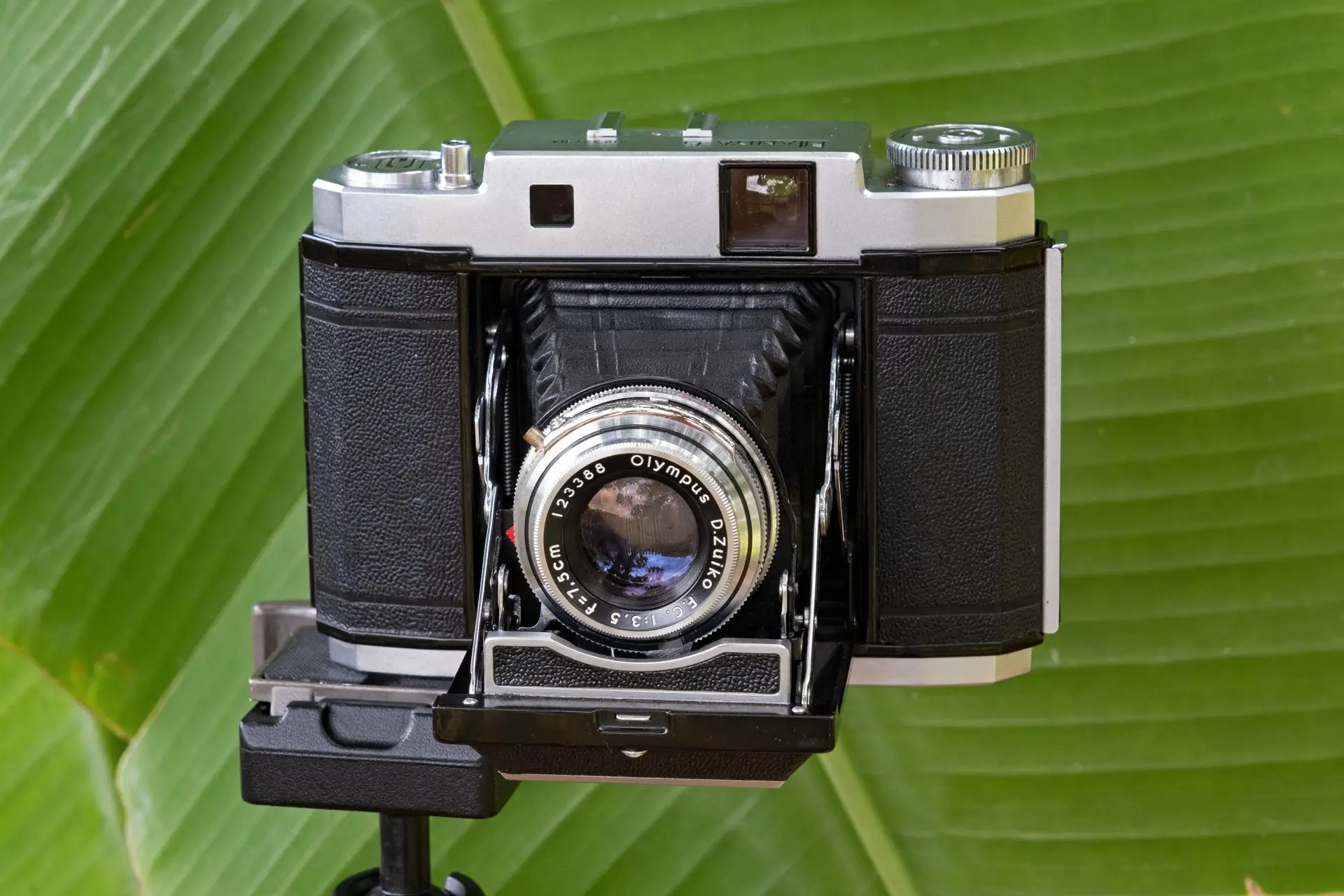 Mamiya 6 Automat Mini-Review - A small, cheap 6x6 with a good lens