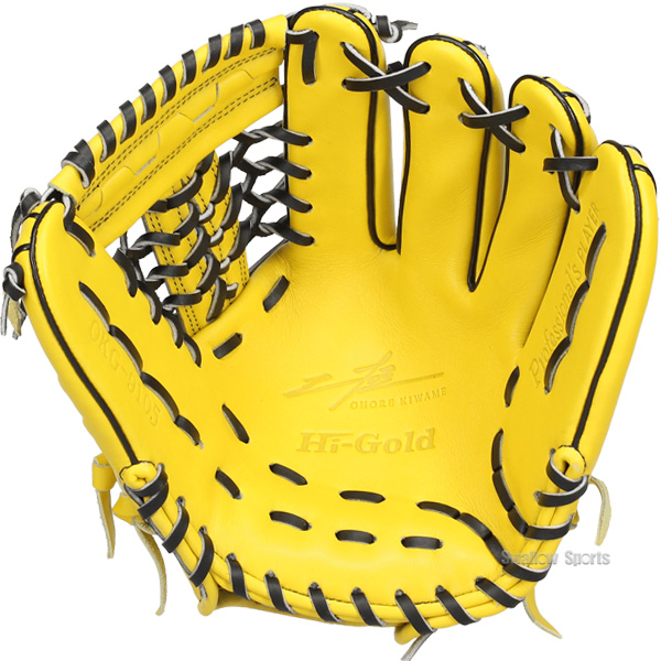 野球 グローブ 軟式 ハイゴールド 己極 軟式グローブ グラブ 軟式用 内