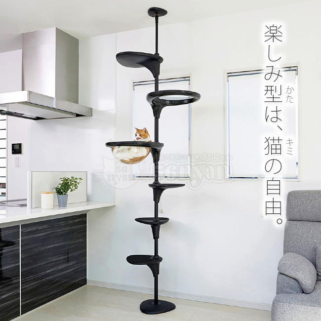 OPPO ClearBowl クリアボウル ブラック (07642) キャットフォレスト