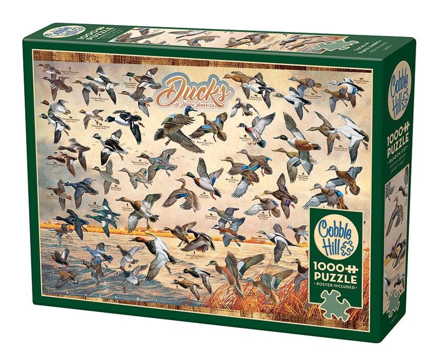 Ducks of North America 1000 piece jigsaw| 40177 |Cobble Hill