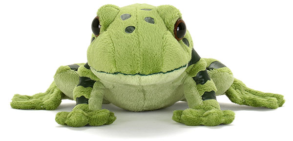 動物 生物 ぬいぐるみ やんばるの生物 オキナワイシカワガエル