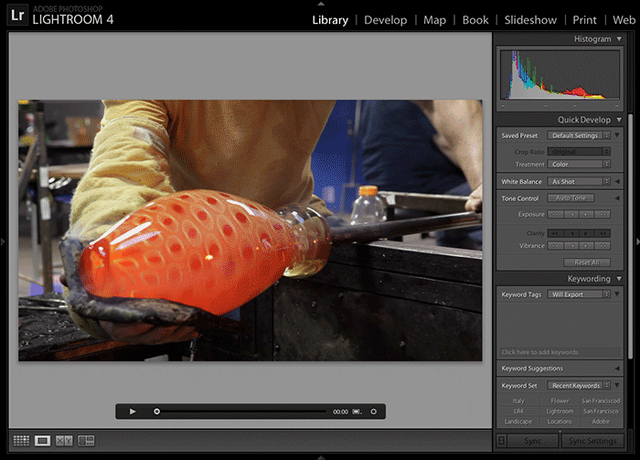 Adobe Photoshop Lightroom 4.0 Feature Overview