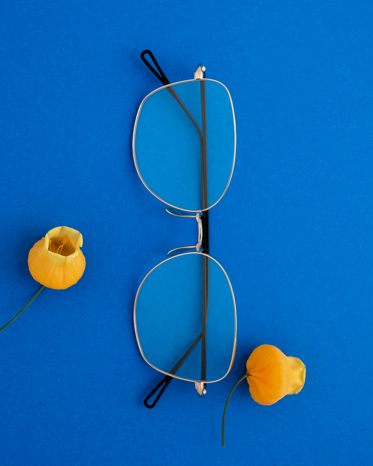 ayame｜ayame × Continuer｜B.M. - RGBK｜PRODUCT｜Continuer Inc