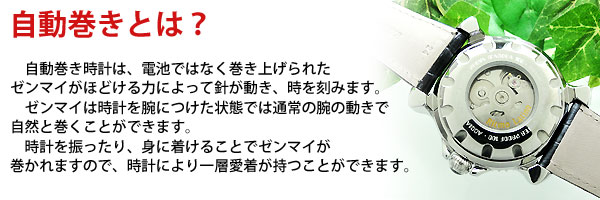 Ritmo Latino＜リトモラティーノ自動巻き腕時計・ブラック＞Viaggio