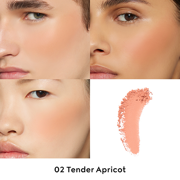 グッチ ブラッシュ ドゥ ボーテ チーク アンド アイ / グッチ