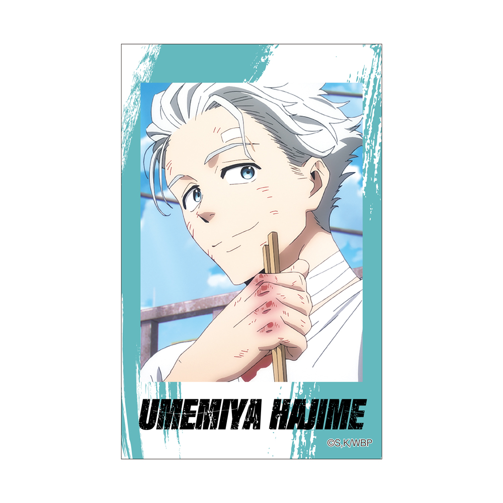 BOX】WIND BREAKER チェキ風ブロマイドコレクションVol.2（全10種