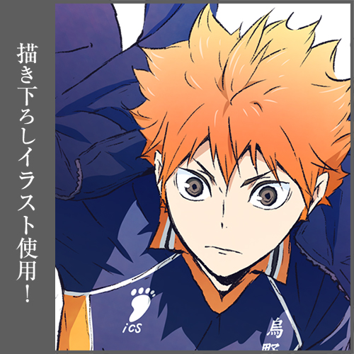 日向翔陽 B2タペストリー Ver.1.0 [ハイキュー!!] | 公式キャラクター