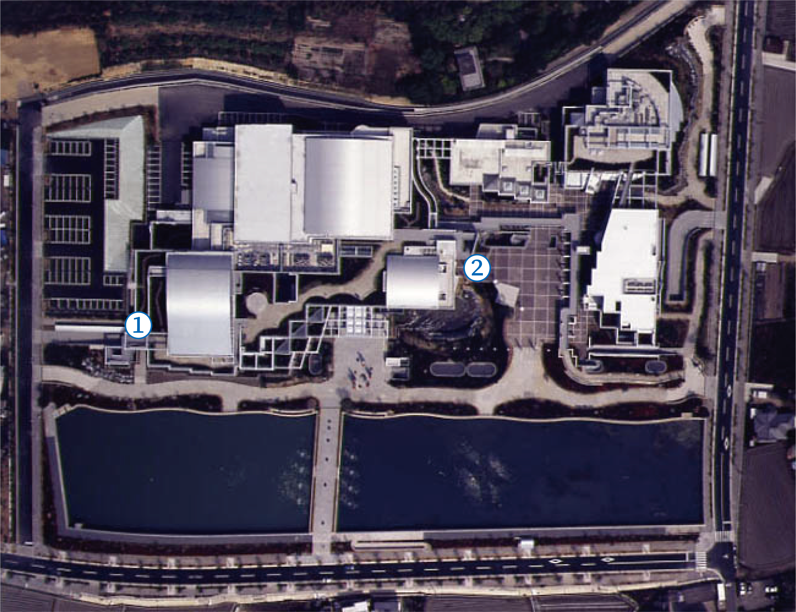 屋上庭園開放いたします