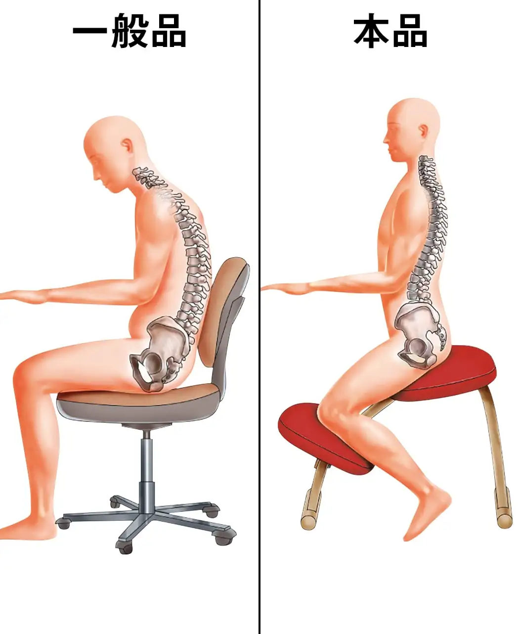 通販生活®猫背対策椅子「バランスチェア」｜【公式】カタログハウスの