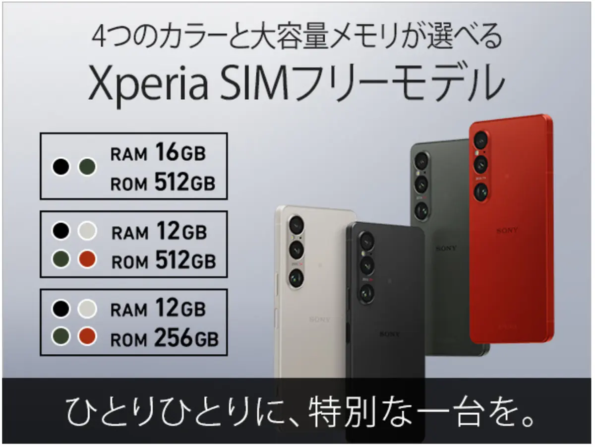 年間ランキング＞2024年一番売れたソニー製品はこれだっ！＜台数編