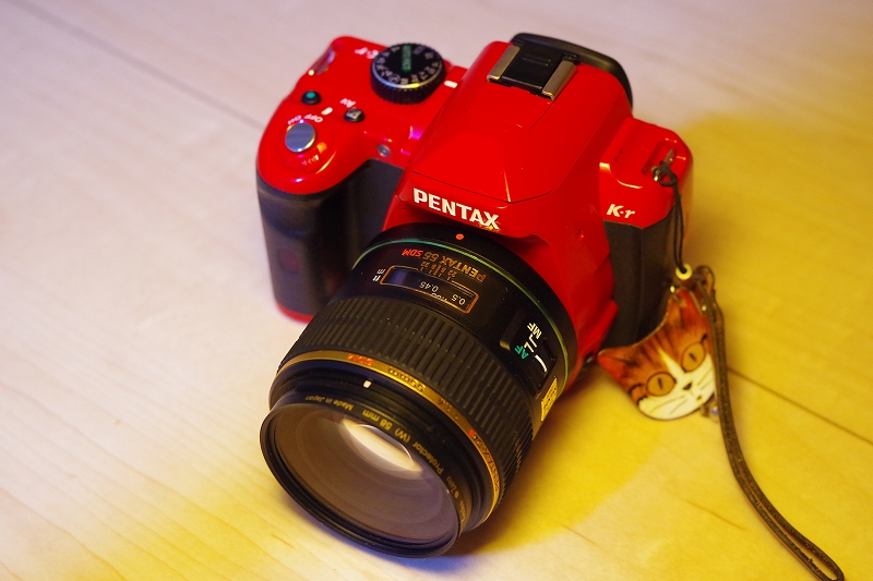 スーパータクマーだけでない！もう1つのペンタックス55mm【猫撮影