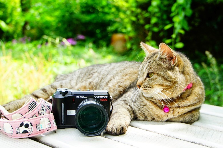 20年前に人気だったオールドコンデジ OLYMPUS C-755Ultra Zoom 【神戸